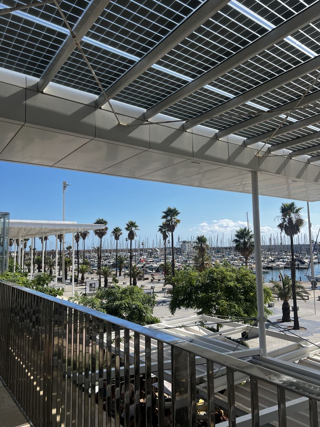 Marina with palm trees in Barcelona, Spain
